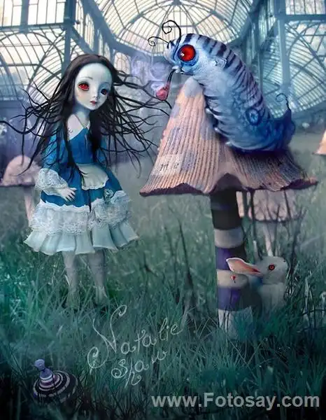 死亡艺术家natalie shau插画作品