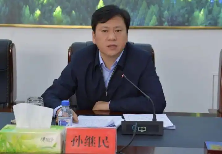 县委书记孙继民,县委副书记,县长戴存鹤