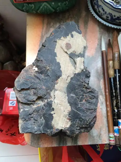 大家帮我鉴定一下这块木化石价值多少?