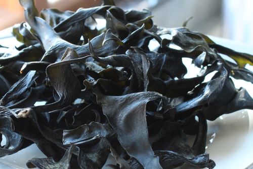海带霞浦免洗海带头500克干货火锅麻辣烫凉拌食材海带