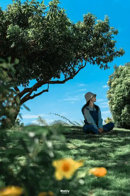 在深圳,"零门槛"的陪拍能月入过万?过来人:不建议轻易入行