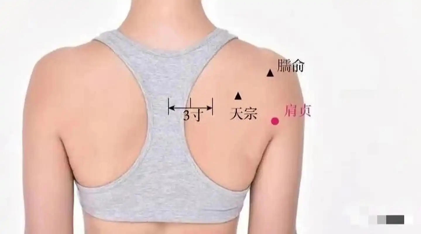 位于肩胛区,肩关节后下方,腋后纹头直上1寸.