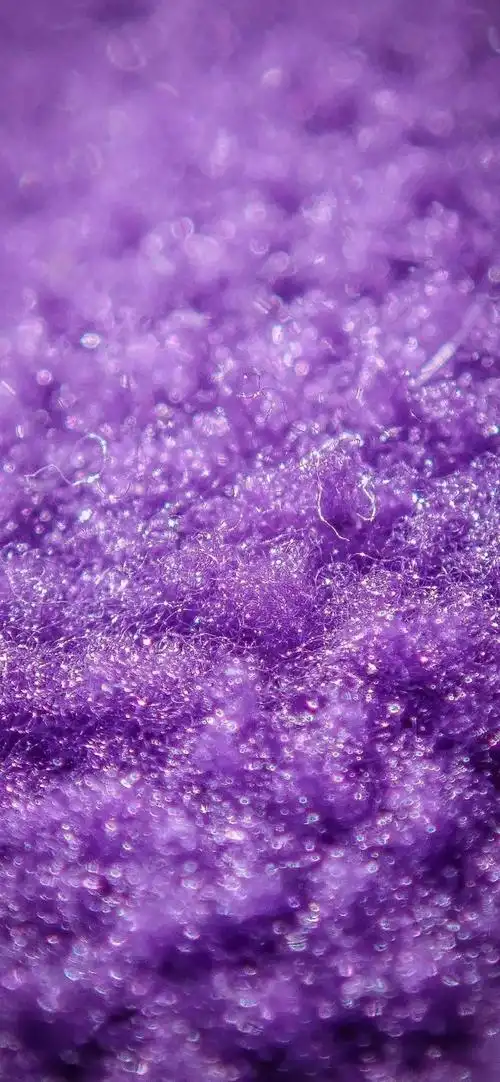 紫紫紫色系壁纸,出道了!_图片