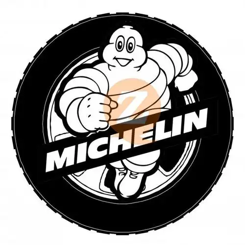 米其林_conew1