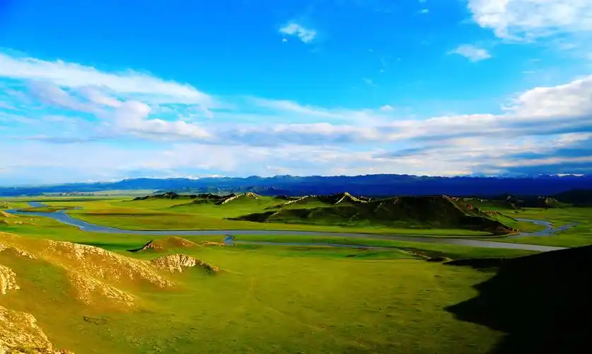 清晰迷人的草原自然风光