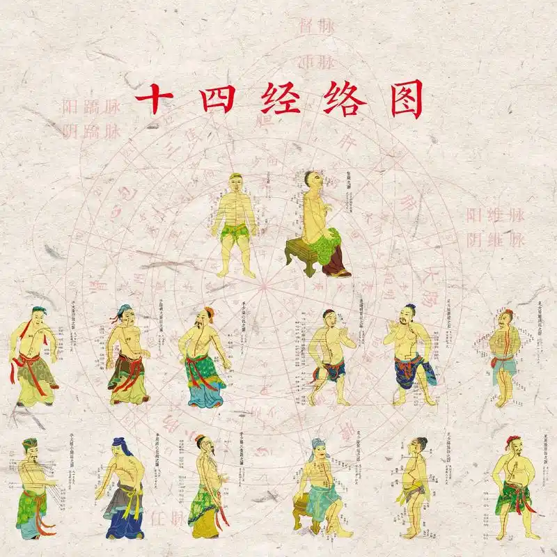 十四经络图.甲胆乙肝丙小肠,丁心戊胃己脾乡.  庚是大肠辛属 - 抖音