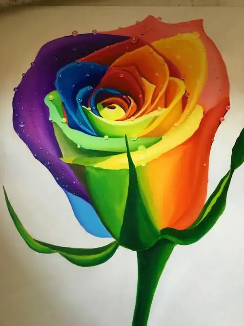 彩色玫瑰花|纯艺术|绘画|奋斗小美妞_原创作品-站酷zcool