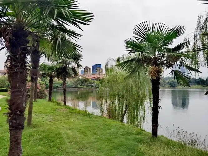 小游天井湖公园