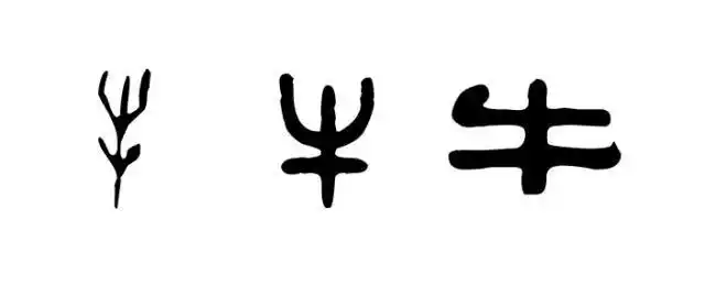 说文解字11:造字方法之因物象形