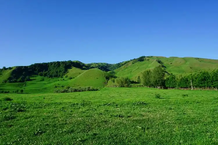 大美新疆(六)——那拉提草原,伊宁喀赞其民俗旅游区(d8)