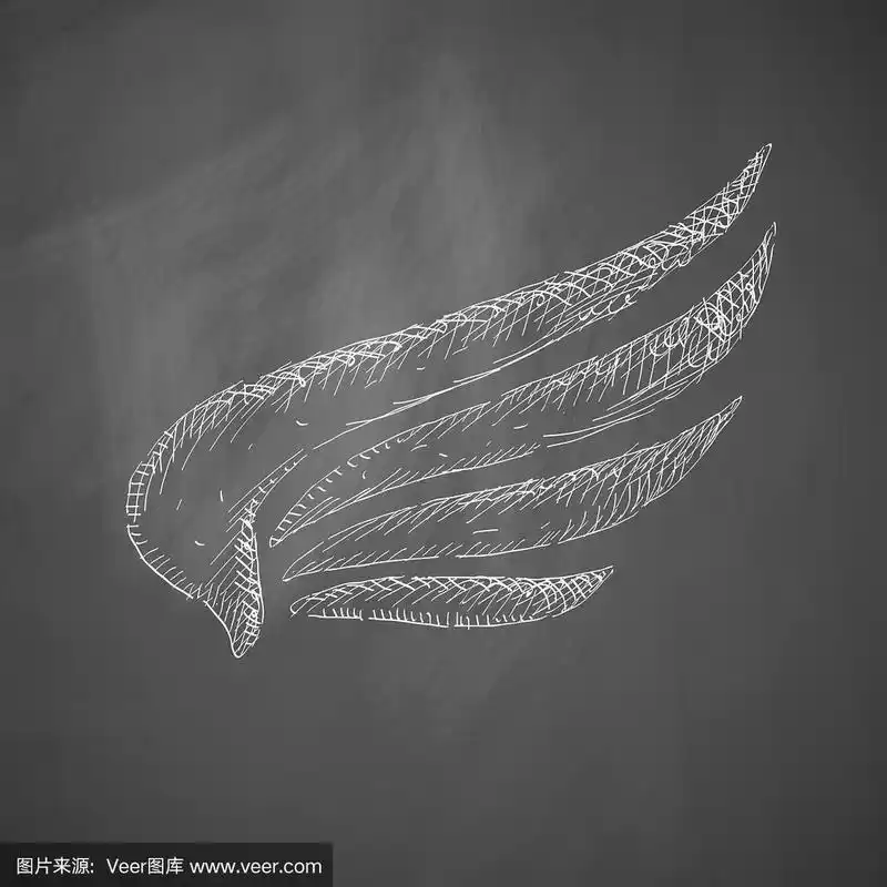 图标,翅膀,轮廓,黑板,动物