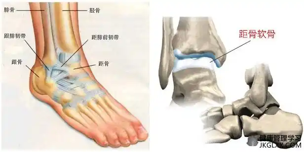 脚踝疼痛是什么原因 儿童脚崴了怎么办