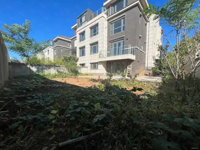 南大和园双拼别墅300平米院子带电梯车库车位急售