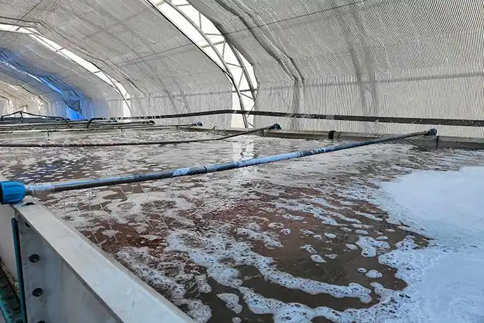 浸种催芽加速 水稻备耕提速-鸡东新闻网-东北网