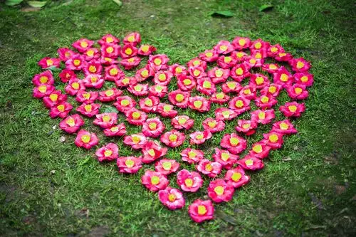 花爱心
