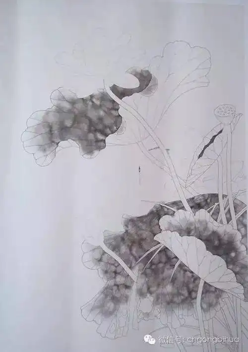 工笔荷花画法路雨年