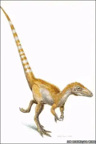 p>中华龙鸟生存于距今1.4亿年的早白垩世.