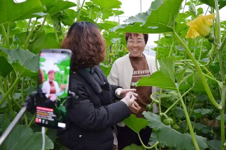 泰安振农电商走进高新区房村丰源家庭农场助农直播带货