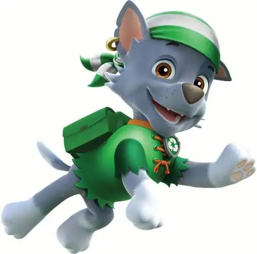 这是我最爱的灰灰