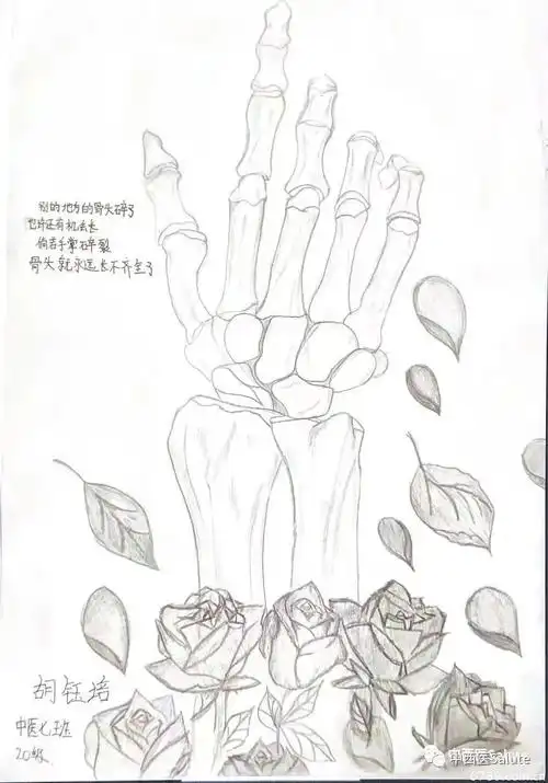 厉害了力明学子手绘人体解剖图勾勒人体之美