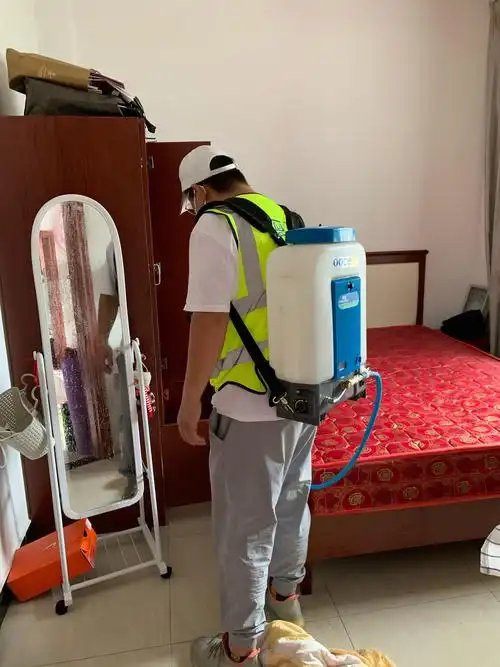 杀虫灭跳蚤臭虫虱子除虫服务上门意向金