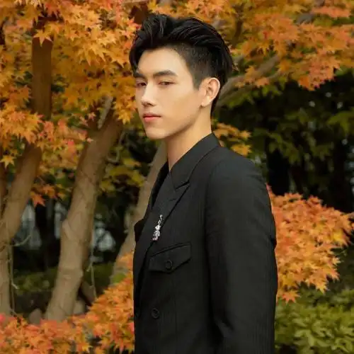 微信头像陈飞宇