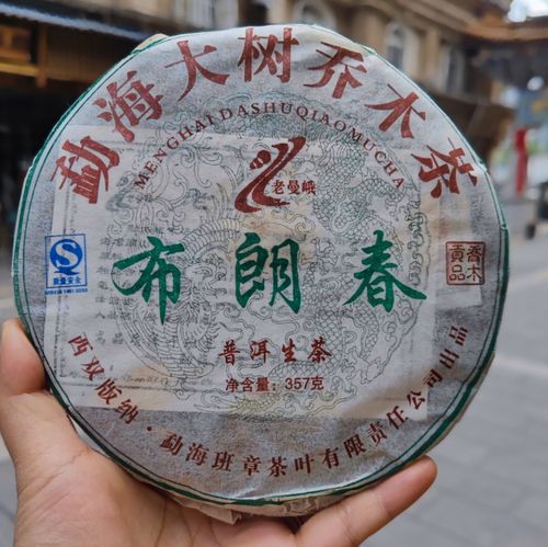 普洱茶  生茶 2007年布朗春 老生茶 云南茶叶