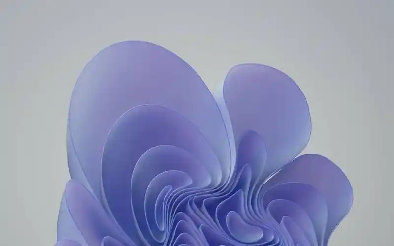 微软win1110主题2022年度彩通色免费下载bloom壁纸