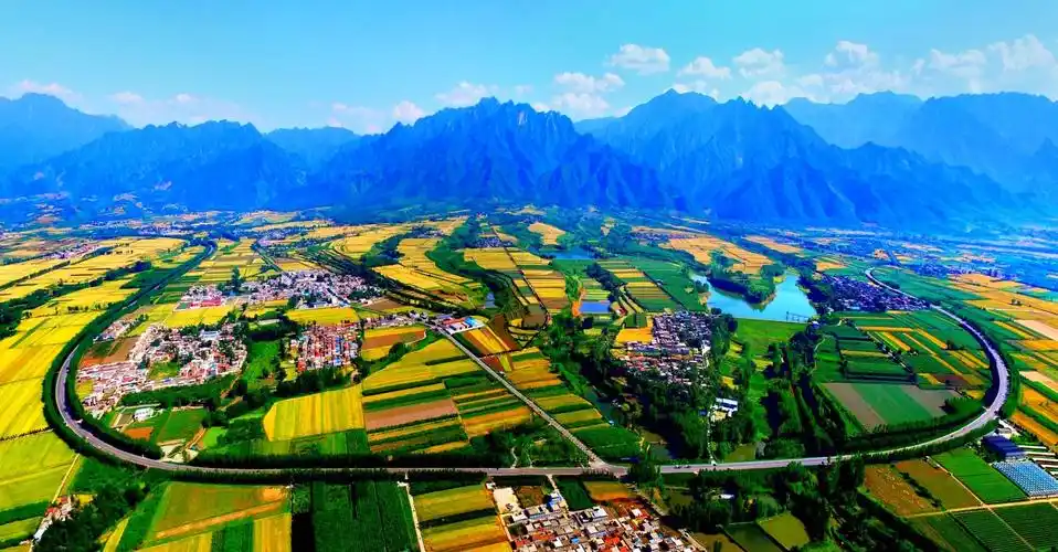 杨庄,那片黄金花海