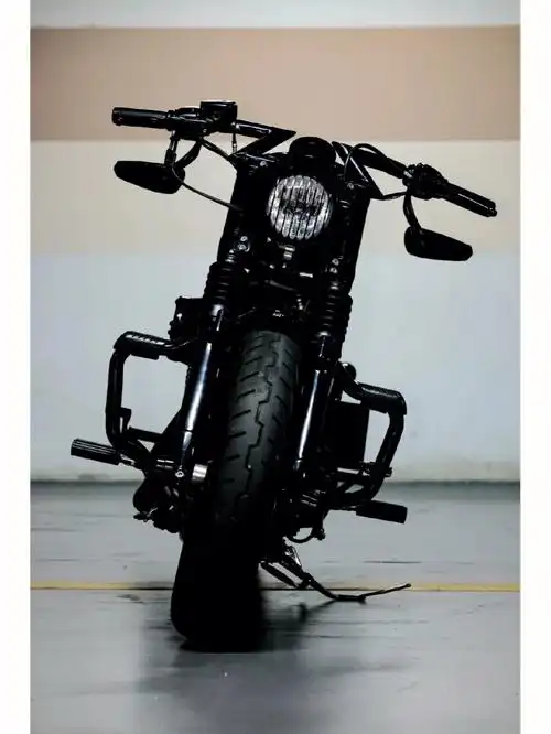 叫他小黑[新月r][新月r]#哈雷  #哈雷x48#复古摩托  #复古机车  #黑