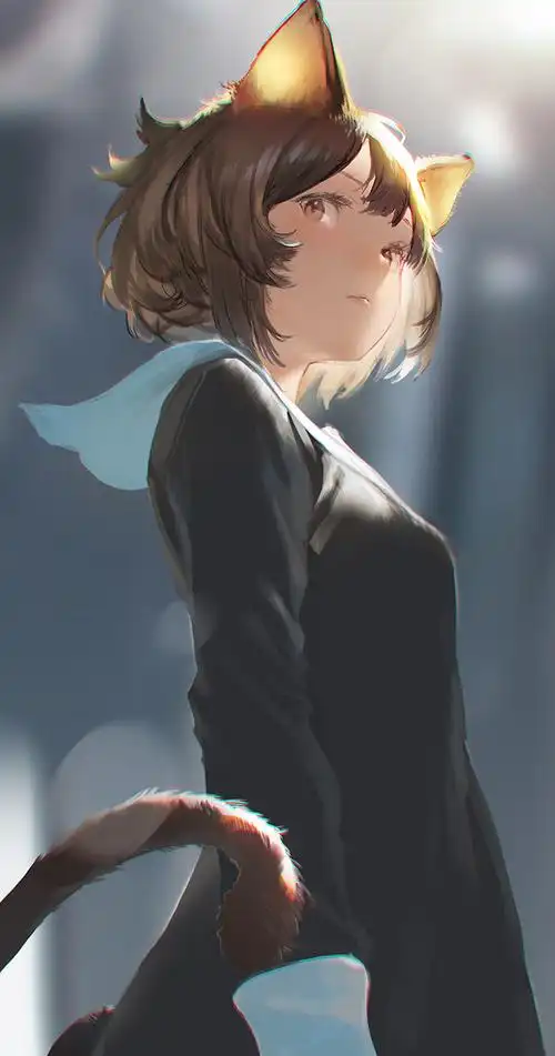 p站美图推荐——俯视or仰视?-动漫之家新闻站