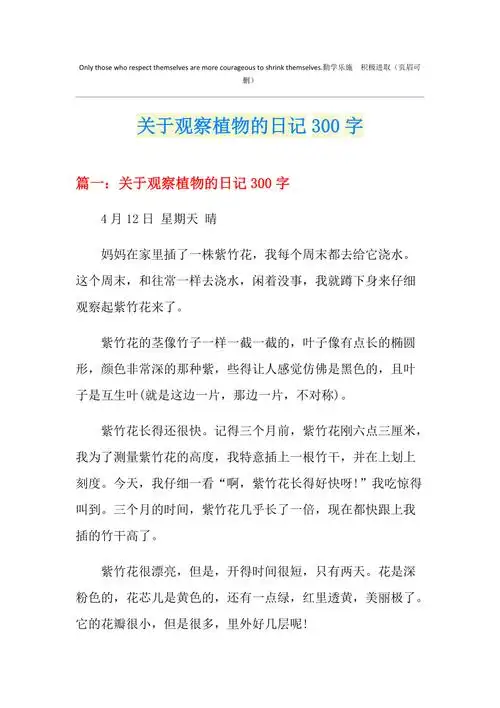 关于观察植物的日记300字