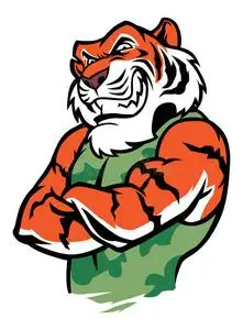 肌肉发达的老虎摆姿势经典的老虎纹身姿势小狮子卡通狮子系列美丽的杏