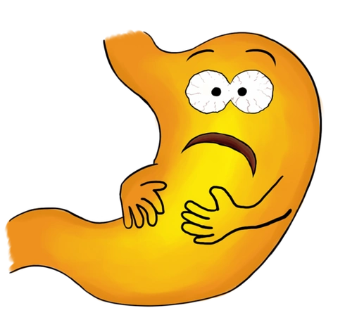 胃怎么画胃怎么画简笔画