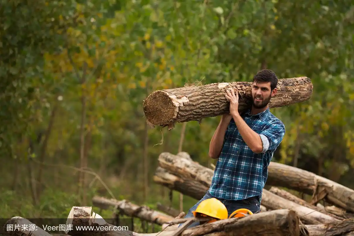 两个年轻人肩上扛着一根大木头,正在穿过森林