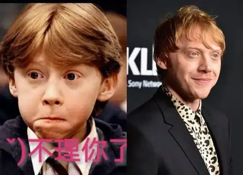 哈利波特18年后被赫敏美哭伏地魔从最丑变最帅