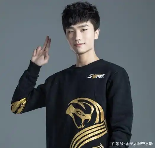 d,sviper这种也比较有人气的战队,曾经也在kpl职业