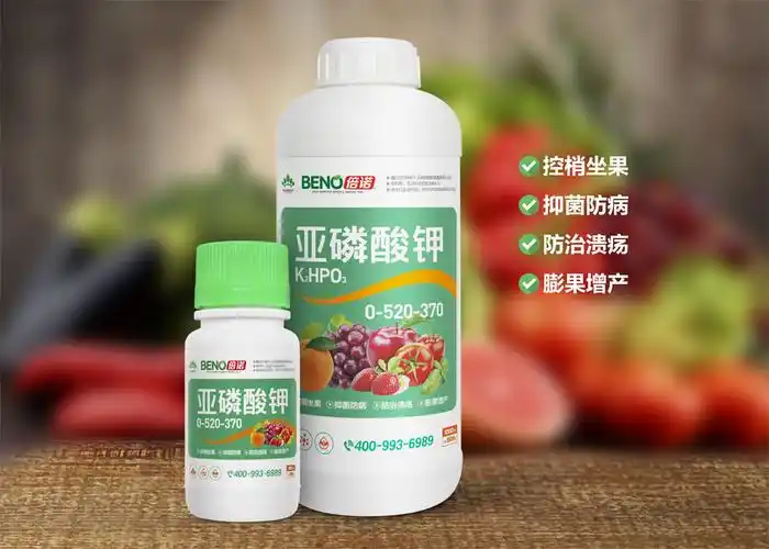 "亚磷酸钾"