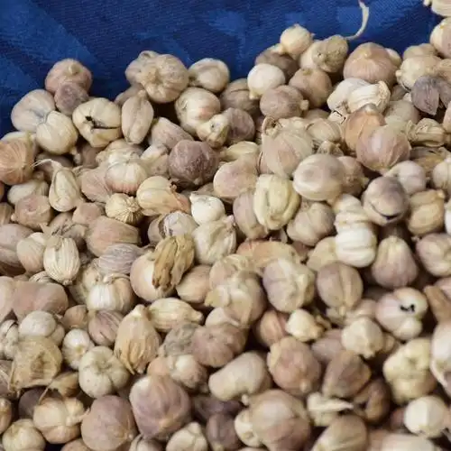 白扣白蔻豆蔻寇无硫香料调料500g克本色纯干足干全干货包邮