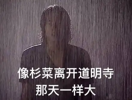 下雨天表情包