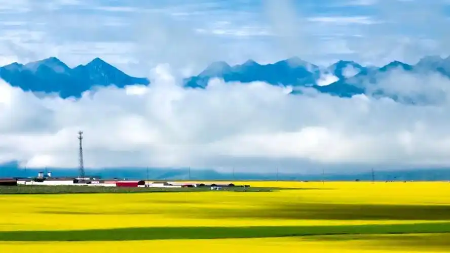 2021年10个最火赏花地一个也不能错过