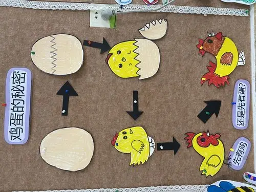在这个主题里面我们还探究了鸡蛋宝宝的秘密,了解小鸡的孵化过程