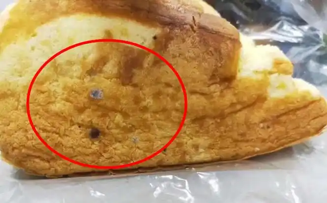 原创差一天过期的蛋糕发了霉孩子吃了许多才被发现