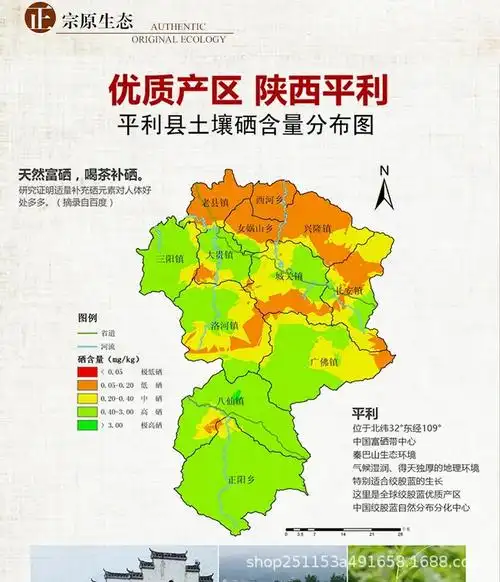 新品上市龙须绞股蓝茶陕西平利特产五叶七叶养生茶叶250g厂家直销