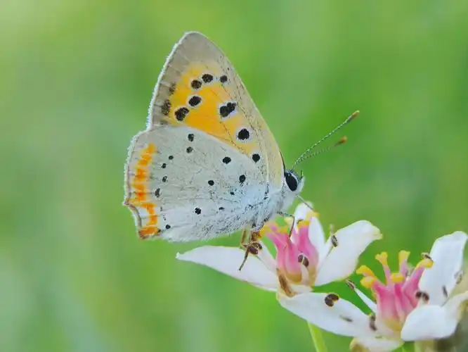 2019年我的微观世界