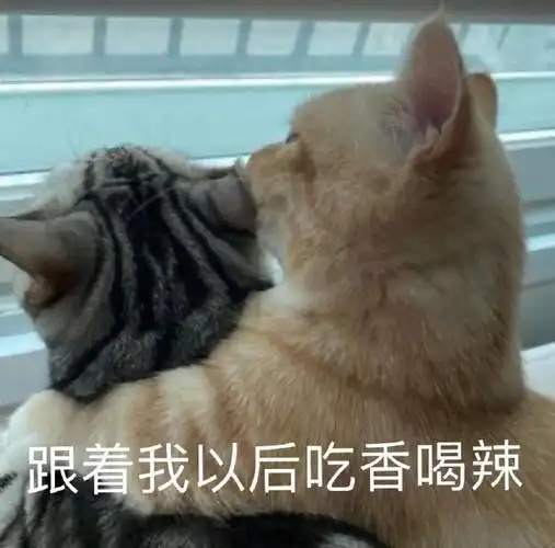 跟着我以后吃香喝辣_以后_跟着_吃香喝辣表情