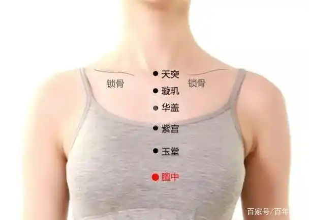 膻中穴:膻,指胸部;中,中央也.