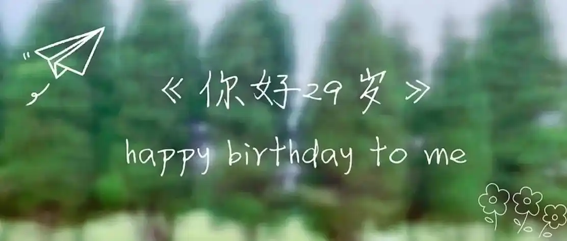 29岁,幸会!二字开头的最后一个生日,曾经以为三十离我好遥 - 抖音