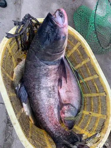 7.11～12天津蓟县于桥水库林家小院