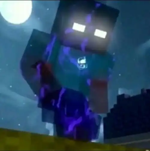 我的世界him的一生